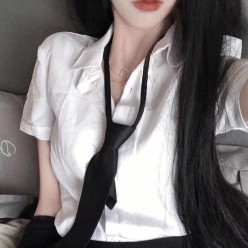 燕 封面