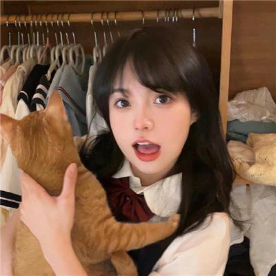 家有猩猩宝贝 封面